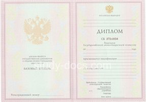 Диплом колледжа 2003-2006 в Орле́